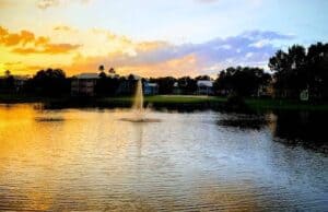Grab a discount on Disney recreation when it reopens!