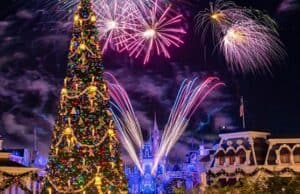 What's Free during the Christmas Season At Disney World