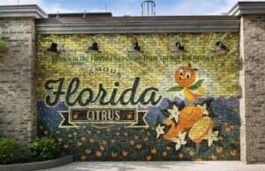 Will Iger's big return change plans for the company to relocate to Florida?