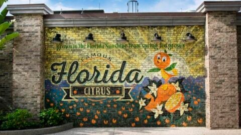 Will Iger’s big return change plans for the company to relocate to Florida?