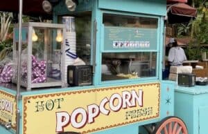 You will not want to miss the new Musical Popcorn Tin at Walt Disney World
