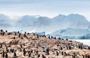 Disney Reveals New Details for Plans to Head to Antarctica