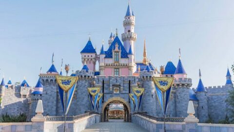 Disneyland Now Adds Courtesy Reminder to Website