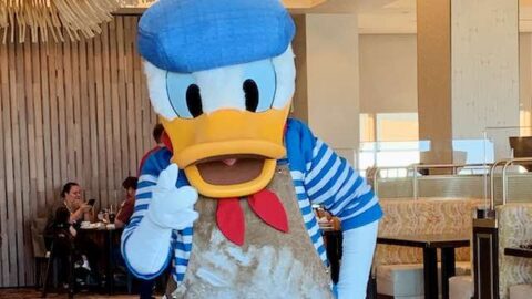 Donald Duck Is Getting His Own New Restaurant