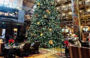 Guests were in for a surprise at Wilderness Lodge during severe weather