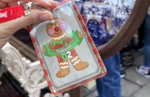 Review: Holiday Time at the Disneyland Resort Guided Tour