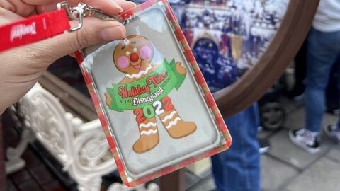 Review: Holiday Time at the Disneyland Resort Guided Tour