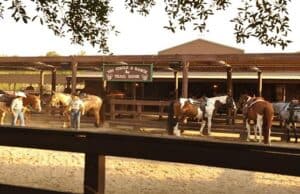 Everything you want to know about horseback riding at Disney