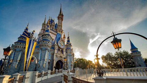 Guests experiencing canceled entertainment at Magic Kingdom