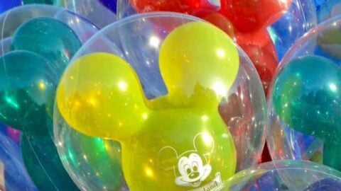 NEW: Disney resumes sales of select passes