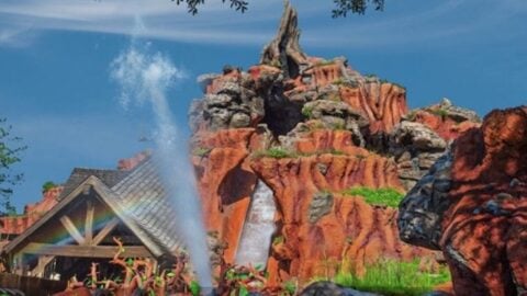 Splash Mountain Souvenirs are still available at Magic Kingdom