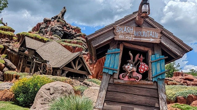Splash Mountain is now removed from Magic Kingdom