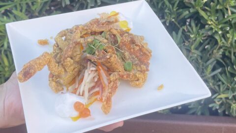 This may just be the worst dish at EPCOT’s Festival of the Arts