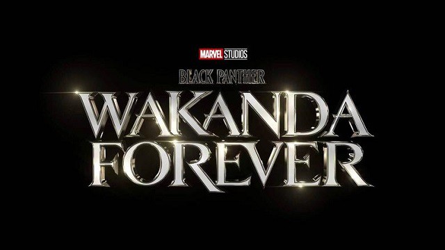 We Now Know the Disney+ Release Date for Black Panther Wakanda Forever