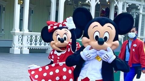 After much controversy, Mickey Mouse is now removed from this Disney Park