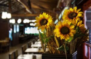 New: A Clue to Trail's End Restaurant Closing Date