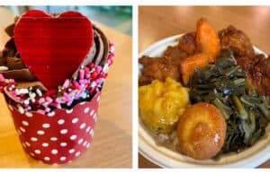 Recap and Review of Disney's New Foods for February