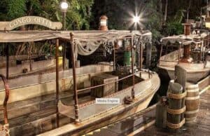 See What Happened When a Celebrity Took Over a Popular Disney Ride