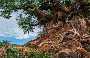 Act quick to see how Disney celebrates Earth Month at the theme parks and beyond!