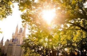 Check Out These Great New Perks for Select Disney World Guests