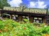 Check Out This Big Change to Disney's Animal Kingdom Map
