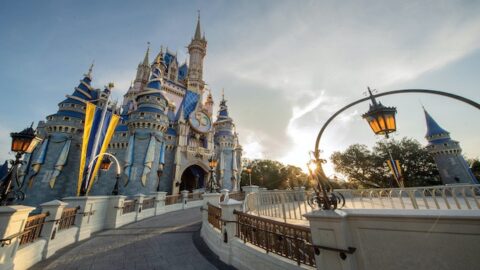 We have a new clue for the permanent Cinderella Castle colors