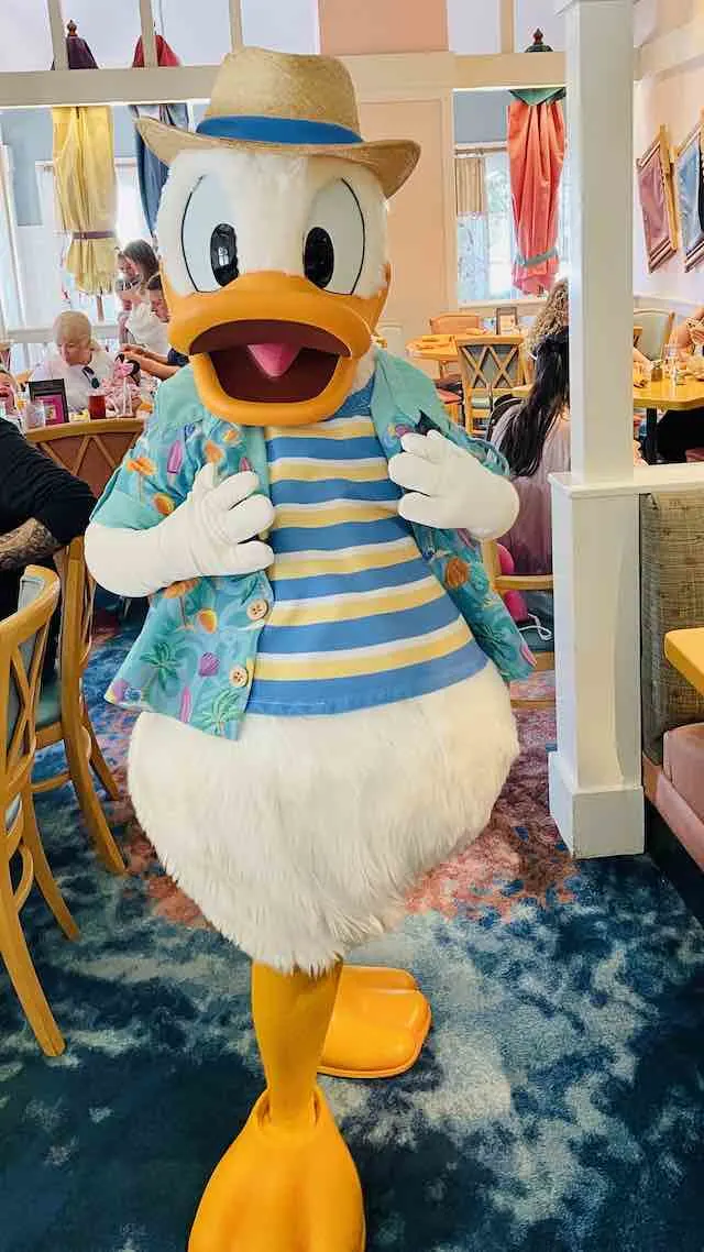 Donald Duck Cape May