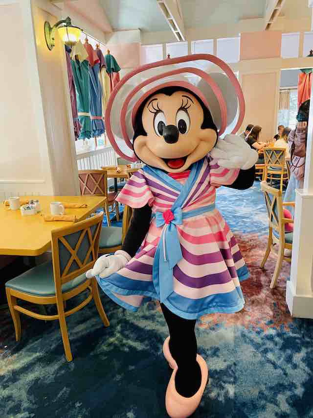 Minnie Mouse Cape May 