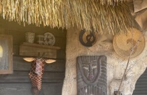 Questionable Cultural Elements Now Removed at Walt Disney World