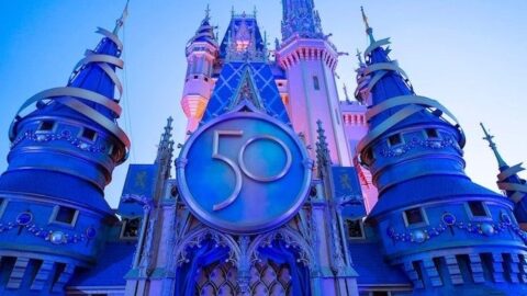 What will become of the Disney World park icons when the 50th anniversary ends?