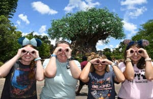 Don't overlook this great show at Disney's Animal Kingdom
