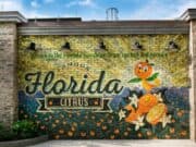 Bob Iger Addresses Why Disney Is Important to the State of Florida