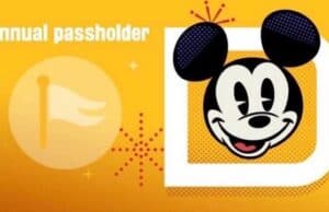 Disney World Annual Passes are live now but there's a catch