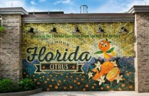 Drunk guest arrested and trespassed at Disney World