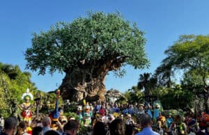 Here is the incredible way Disney now celebrates Animal Kingdom