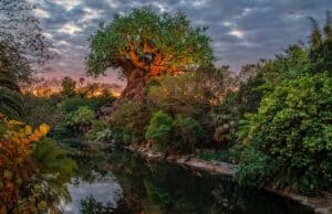 This Refurbishment Will Affect Families This Summer At Disney World
