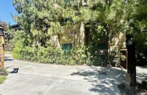 Do you know about this "secret" Disney walkway?