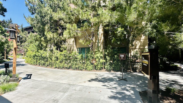 Do you know about this "secret" Disney walkway?