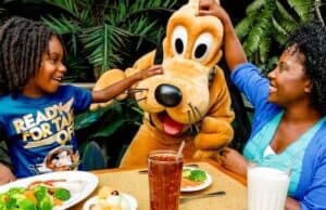 Everything you need to know about the Disney Dining Plan