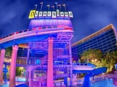 I think the Disneyland Hotel is the Best Disney Hotel