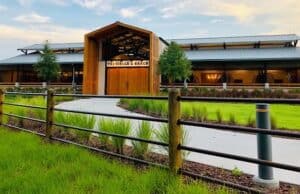 There are two new reasons you don't want to miss this Disney World experience!