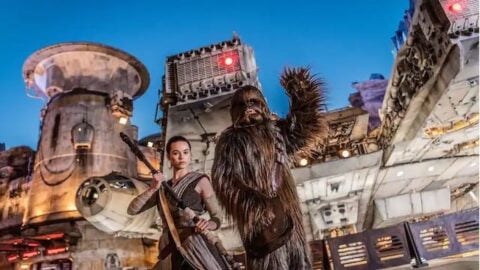 This FINAL Disney Experience is now SOLD OUT
