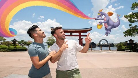 All of the Details for the new Figment Passholder Magnet