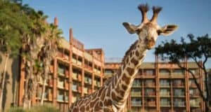 Disney Resorts Named Some of the Best in the United States