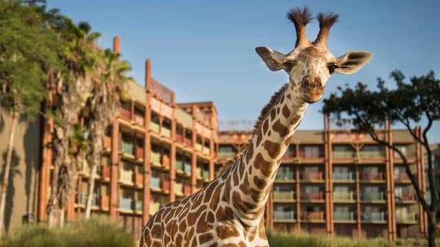 Disney Resorts Named Some of the Best in the United States