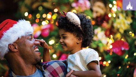 Disney makes holidays more fun with this HUGE new Annual Passholder discount