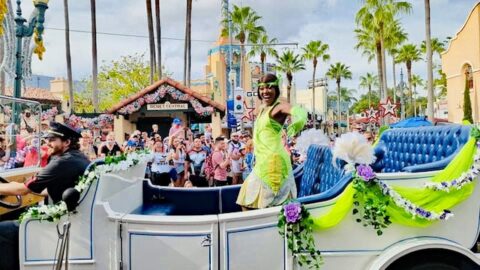 Take a look at the creative new ways Tiana is represented at Disney Parks