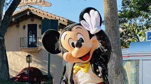 Top 5 Hidden Mickey Photo Opportunities at Disney World