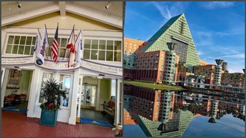 Which EPCOT Resort is the best: Boardwalk or Dolphin?