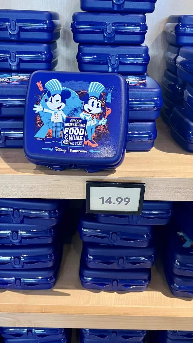 Disney Tupperware Box - 2023 Epcot Food and Wine Festival